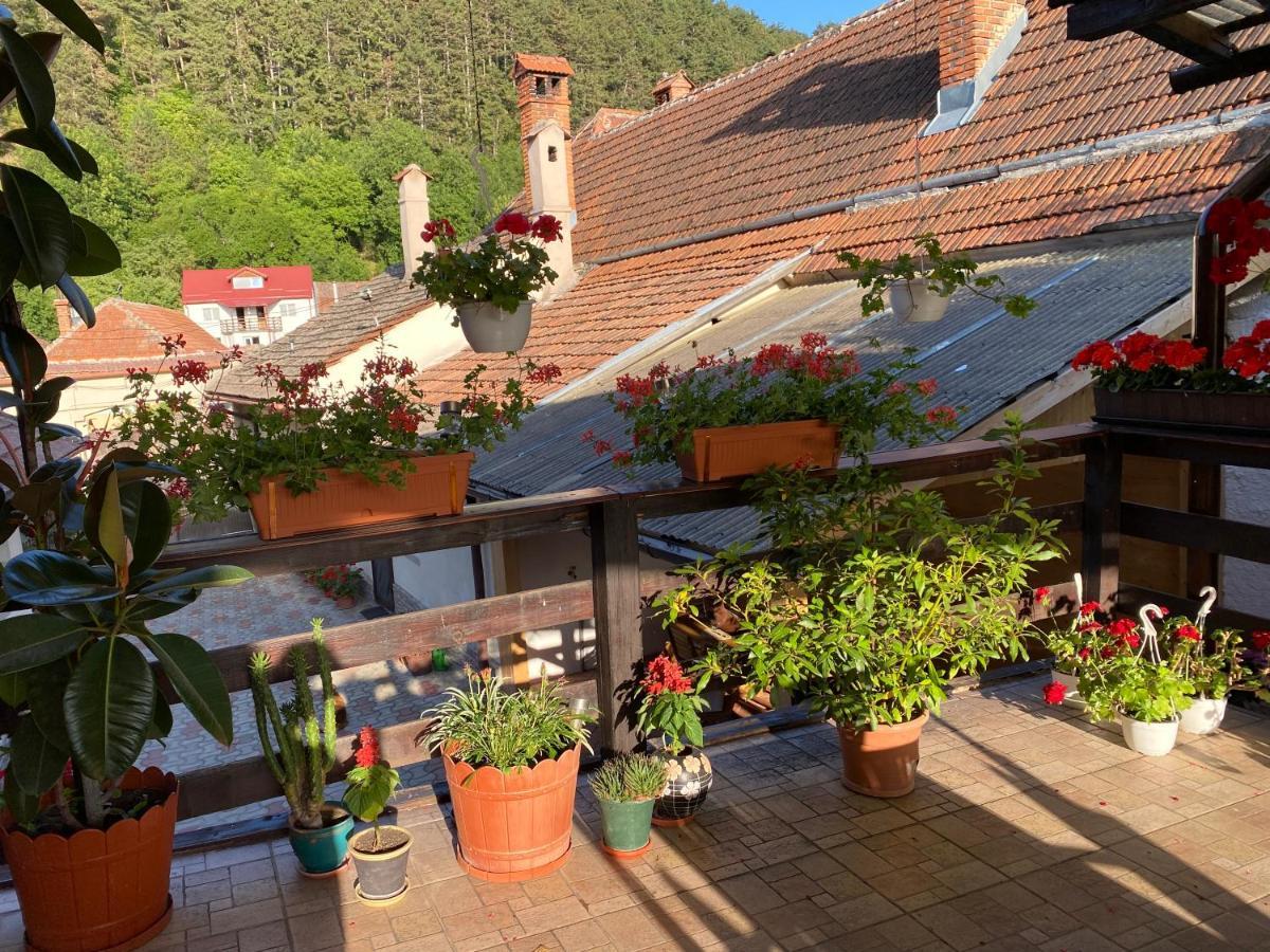 Victoria Gasthaus Rasnov - Charming Vacation House In Rasnov ภายนอก รูปภาพ