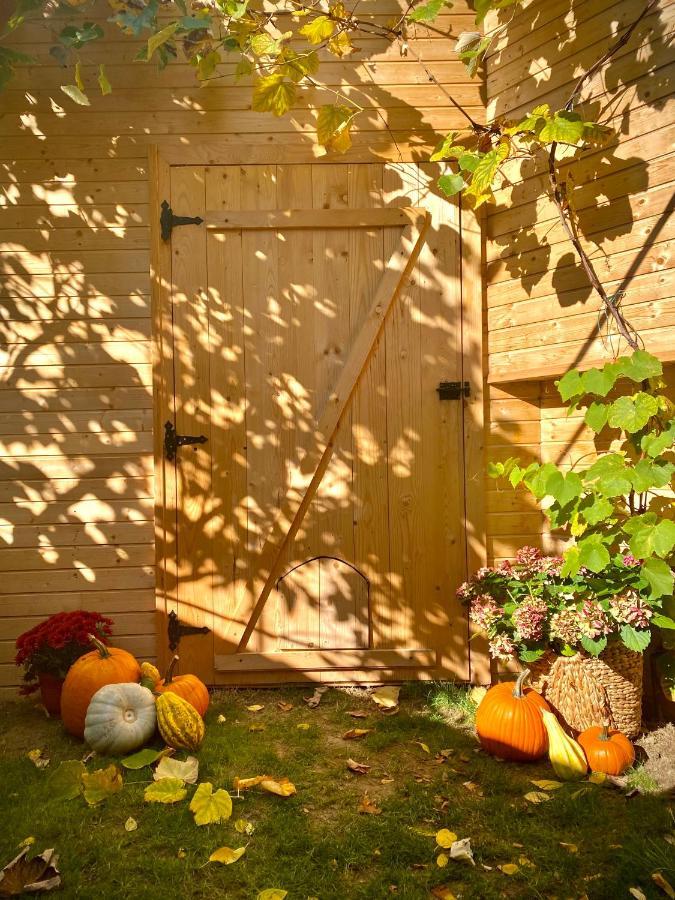 Victoria Gasthaus Rasnov - Charming Vacation House In Rasnov ภายนอก รูปภาพ